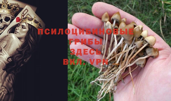 гашик Семёнов
