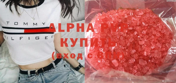 крисы Алексин