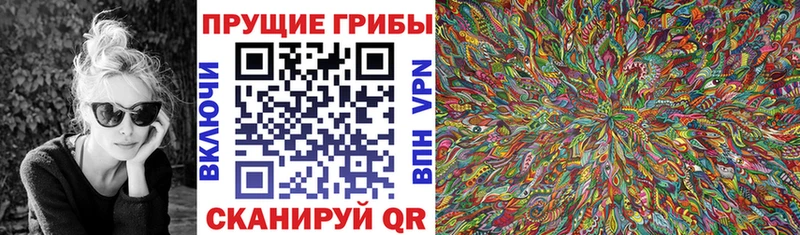 Галлюциногенные грибы прущие грибы  наркотики  Заинск 